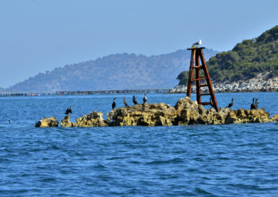 Μελέτες Βάσης για την εξόρυξη υδρογονανθράκων