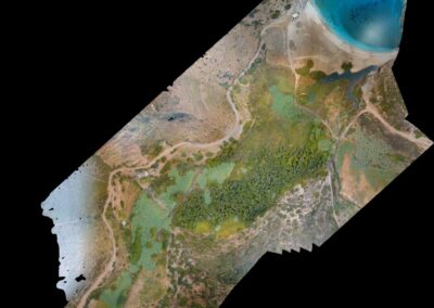 Διαχείριση υγροτοπικής βλάστησης