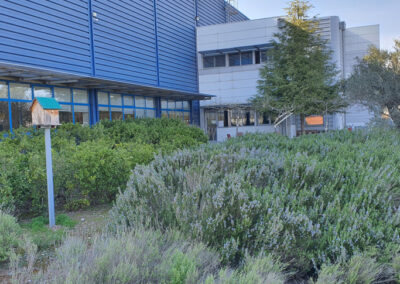 Εμπειρογνωμοσύνη στην πιστοποίηση εταιρικής βιώσιμης ανάπτυξης