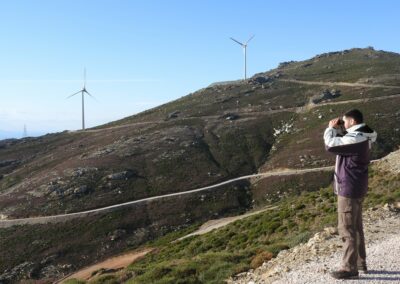 Περιβαλλοντική Παρακολούθηση κατά τη φάση λειτουργίας έργων