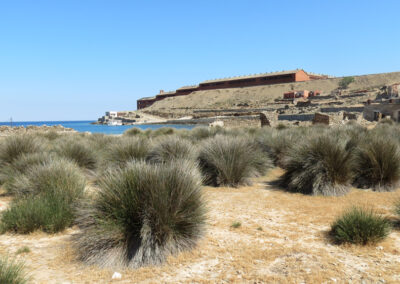 ΕΠΜ και Σχέδια Δράσης / Διαχείρισης