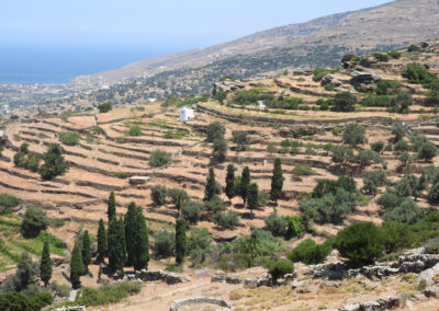 Συντονισμός και Υποστήριξη Ευρωπαϊκών Προγραμμάτων Διαχείρισης