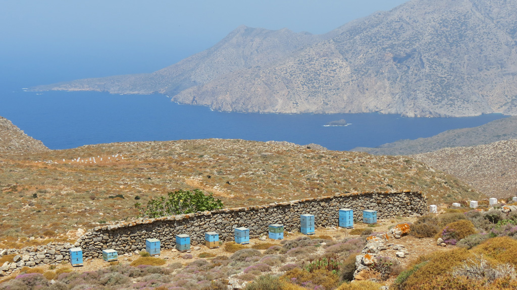 Monitoring_Protected_Areas