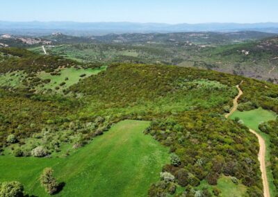 OMB για την Εξόρυξη Χρυσού στο Λόφο Πέραμα