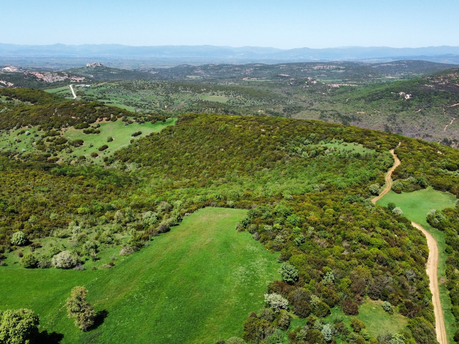 1713088871889-1_1500