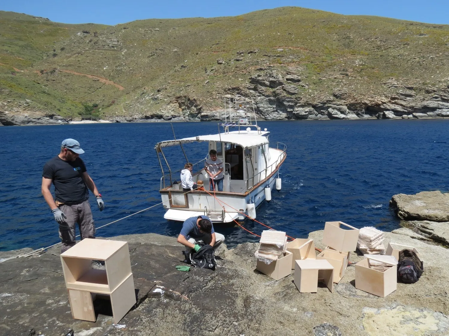 C3_NCCArchive (7)-1_1500