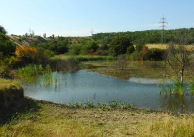 OMB για τα Ορυχεία Αμυνταίου