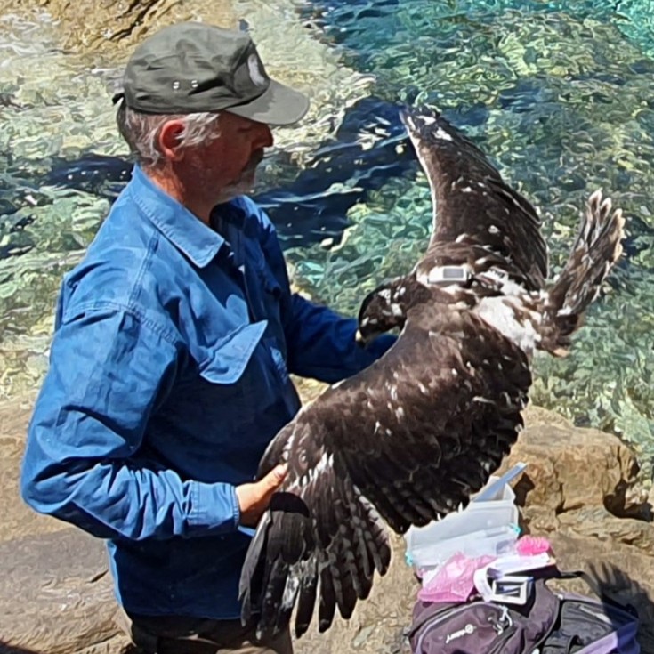 Σταύρος Ξηρουχάκης
