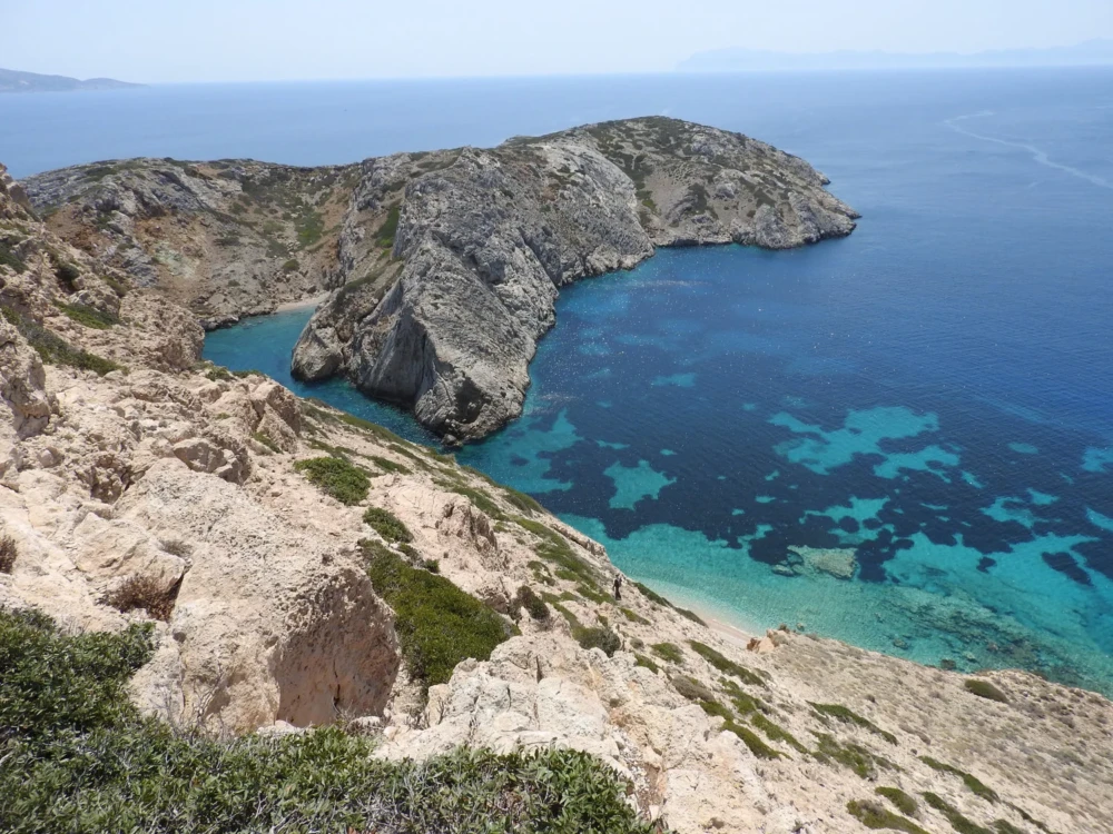 Οι Μαυροπετρίτες φωλιάζουν σχεδόν αποκλειστικά σε βραχονησίδες.