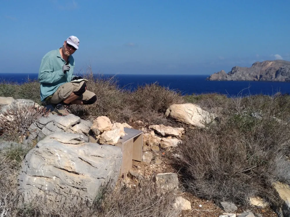 μέλος της ομάδας μπροστά σε τεχνητή φωλιά
