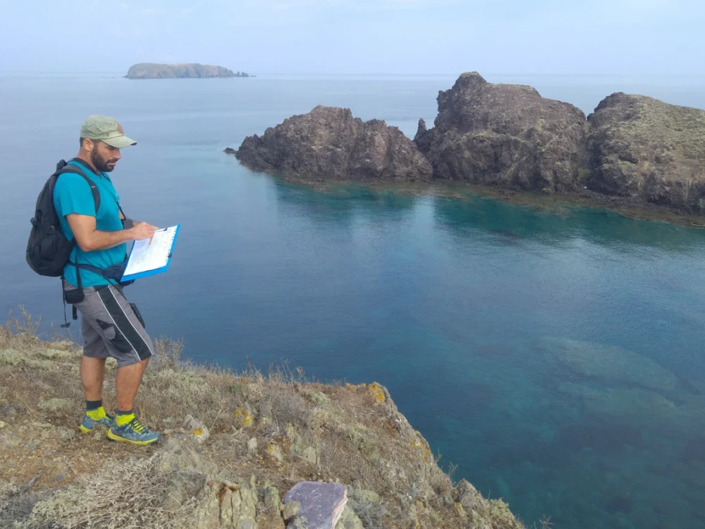 στην καταμέτριση