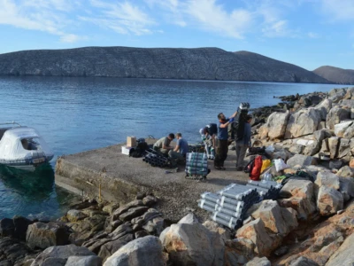 Η καταπολέμηση των αρουραίων είναι από τις σημαντικότερες διαχειριστικές παρεμβάσεις σε νησίδες.
