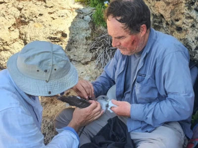 The team of NCC also equips seabirds with transmitters.