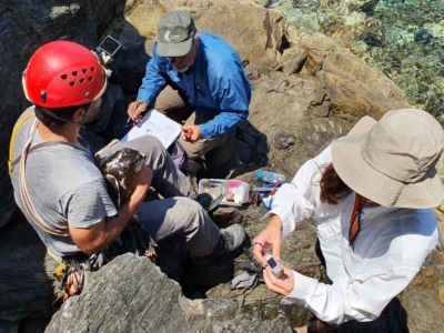 The birds are equipped with transmitters.