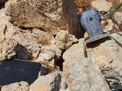 The cameras are powered by solar energy. They are automatically activated by the movements of the birds.