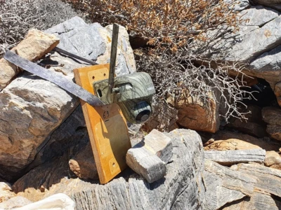 Nest cameras are mostly used for the monitoring of birds in their nests.