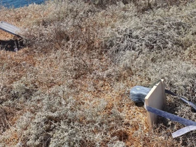 camera at the nest of Eleonora's falcon