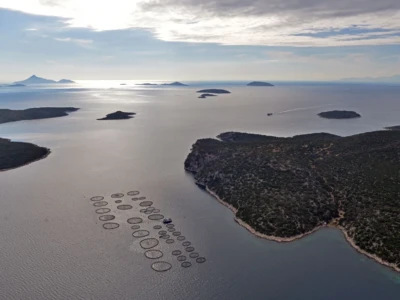 στις Εχινάδες