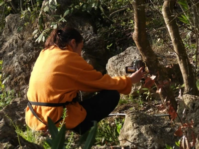 The camera has a motion sensor, i.e. it automatically takes photos when an animal passes by.