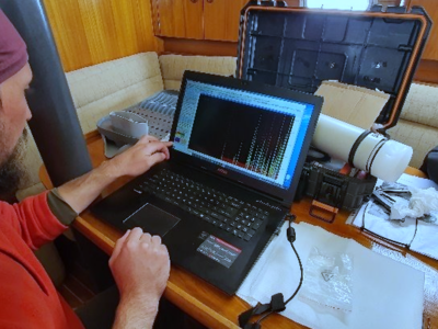 Specialised scientists can identify the species from the sonograms.