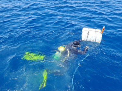 The hydrophone is attached to a floating buoy.