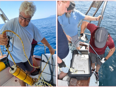 Moored hydrophones are left in fixed places.