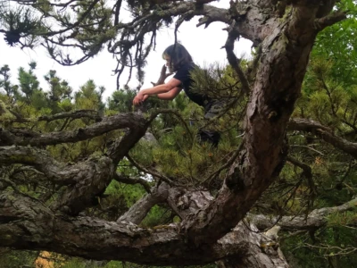 installing a sound recording device for the study of the avifauna