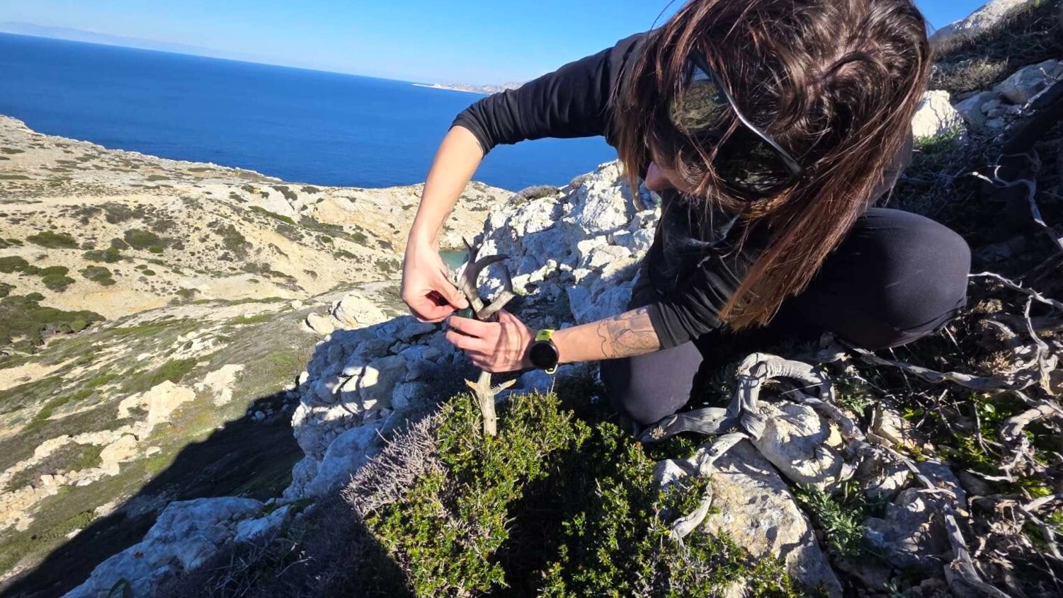 τοποθετπώντας ένα μικρόφωνο για την καταγραφή των πουλιών